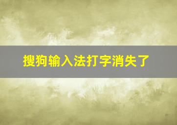 搜狗输入法打字消失了