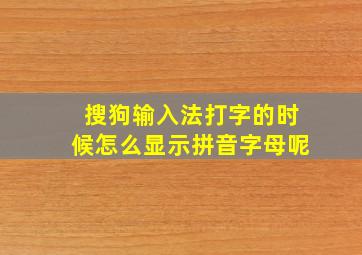 搜狗输入法打字的时候怎么显示拼音字母呢