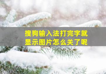 搜狗输入法打完字就显示图片怎么关了呢