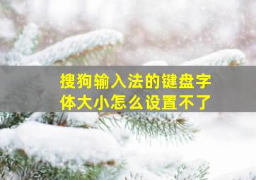 搜狗输入法的键盘字体大小怎么设置不了