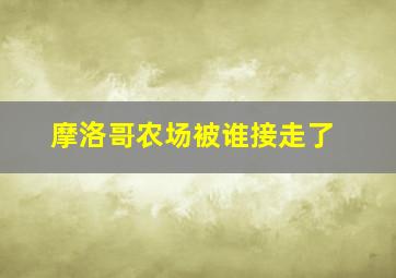 摩洛哥农场被谁接走了