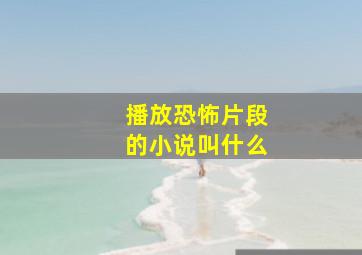 播放恐怖片段的小说叫什么