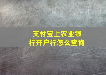 支付宝上农业银行开户行怎么查询