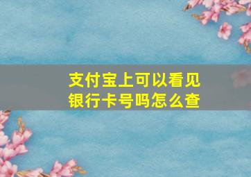 支付宝上可以看见银行卡号吗怎么查