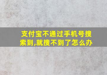 支付宝不通过手机号搜索到,就搜不到了怎么办