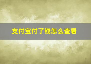 支付宝付了钱怎么查看