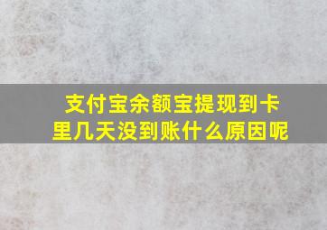 支付宝余额宝提现到卡里几天没到账什么原因呢