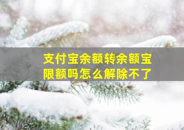 支付宝余额转余额宝限额吗怎么解除不了