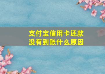 支付宝信用卡还款没有到账什么原因