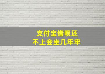 支付宝借呗还不上会坐几年牢