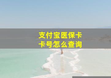 支付宝医保卡卡号怎么查询