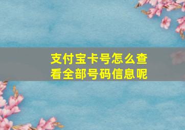 支付宝卡号怎么查看全部号码信息呢