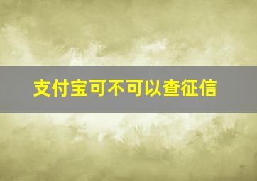 支付宝可不可以查征信