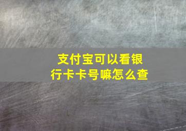 支付宝可以看银行卡卡号嘛怎么查