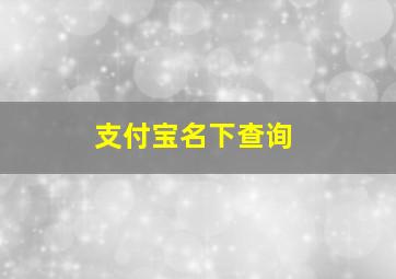 支付宝名下查询