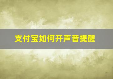 支付宝如何开声音提醒