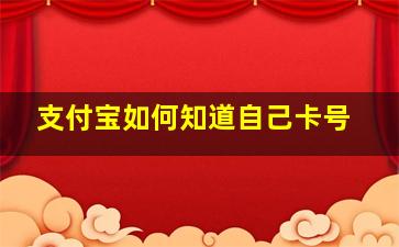 支付宝如何知道自己卡号