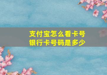 支付宝怎么看卡号银行卡号码是多少