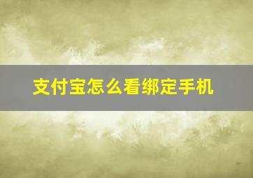 支付宝怎么看绑定手机