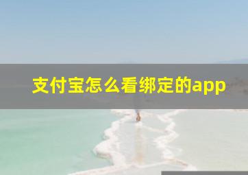 支付宝怎么看绑定的app