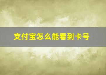 支付宝怎么能看到卡号