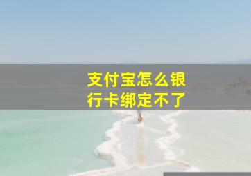 支付宝怎么银行卡绑定不了