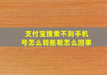 支付宝搜索不到手机号怎么转账呢怎么回事