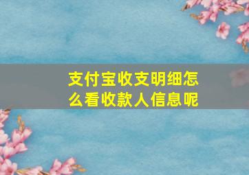 支付宝收支明细怎么看收款人信息呢