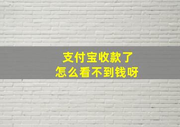 支付宝收款了怎么看不到钱呀