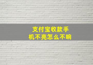 支付宝收款手机不亮怎么不响