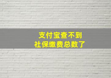 支付宝查不到社保缴费总数了