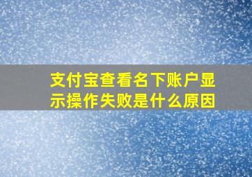 支付宝查看名下账户显示操作失败是什么原因