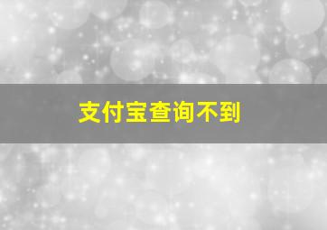 支付宝查询不到