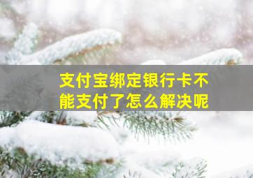 支付宝绑定银行卡不能支付了怎么解决呢