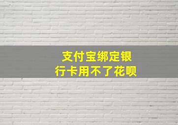 支付宝绑定银行卡用不了花呗