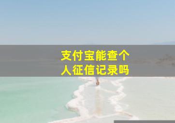 支付宝能查个人征信记录吗