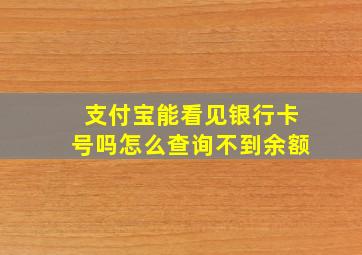 支付宝能看见银行卡号吗怎么查询不到余额