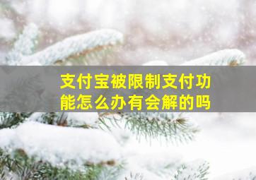 支付宝被限制支付功能怎么办有会解的吗