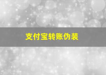 支付宝转账伪装