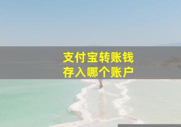 支付宝转账钱存入哪个账户