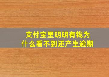 支付宝里明明有钱为什么看不到还产生逾期