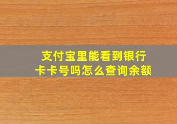 支付宝里能看到银行卡卡号吗怎么查询余额