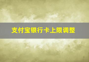 支付宝银行卡上限调整