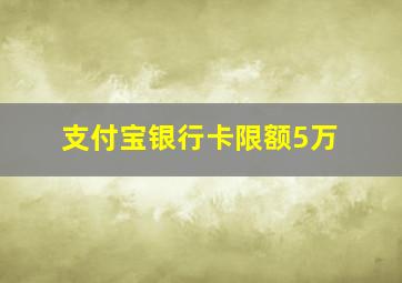 支付宝银行卡限额5万