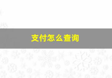 支付怎么查询