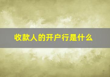 收款人的开户行是什么