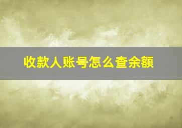 收款人账号怎么查余额