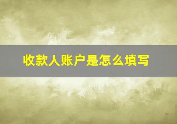 收款人账户是怎么填写