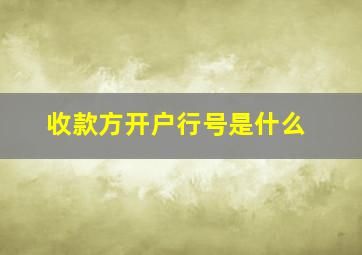 收款方开户行号是什么