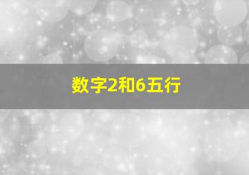 数字2和6五行